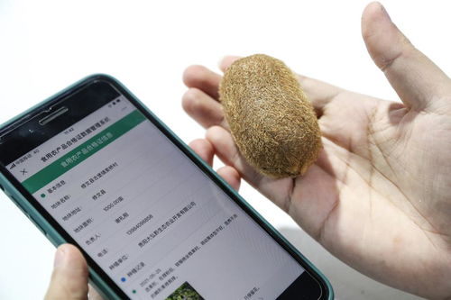 大數(shù)據(jù)賦能鄉(xiāng)村振興 技術推廣的新路徑